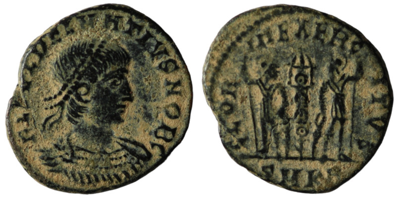 Delmatius Caesar. (335-337 AD). Æ Follis. Cyzicus. Obv: FL DELMATIVS NOB C. laur...