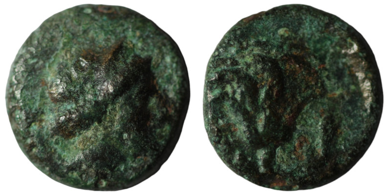 Caria. Rhodos. (400-350 BC) Bronze Æ. Obv: head of Nymphe right. Rev: rose. 11mm...