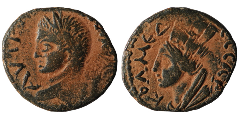 Elagabalus. (218-222 AD). Æ Bronze. Mesopotamia. Carrhae. Obv: laureate and drap...