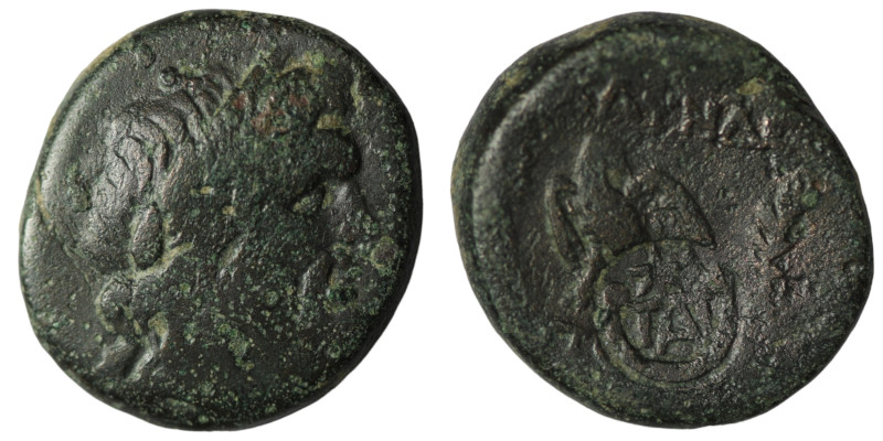 Pontos. Amisos. (120-63 BC) Æ Bronze. Obv: laureate head of Zeus right. Rev: eag...