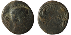 Augustus. (27 BC - 14 AD). Æ Bronze. Syria. Antioch. Obv: laureate bust of Augustus right. Rev: "AVGVSTVS" in wreath. 25mm, 8,84g