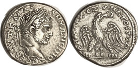 CARACALLA, Akko-Ptolemais Tet, Eagle facg, head r, betw legs Dioscuri caps with stars, Pr.1223; Nice VF+/VF, nrly centered, quite good metal, sharp po...