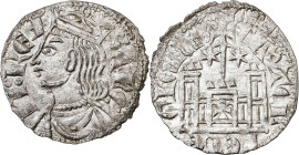 Sancho IV (1284-1295). Toledo. Cornado. (AB. 302). Puerta del castillo con triple arco superior. 0,80 g. EBC-.