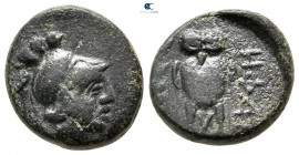 Islands off Thrace. Hephaestia Lemni 386-276 BC. Bronze Æ