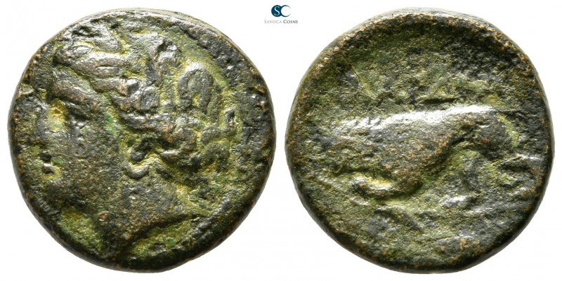 The Thracian Chersonese. Cardia circa 357-309 BC. 
Bronze Æ

19 mm., 6,43 g....
