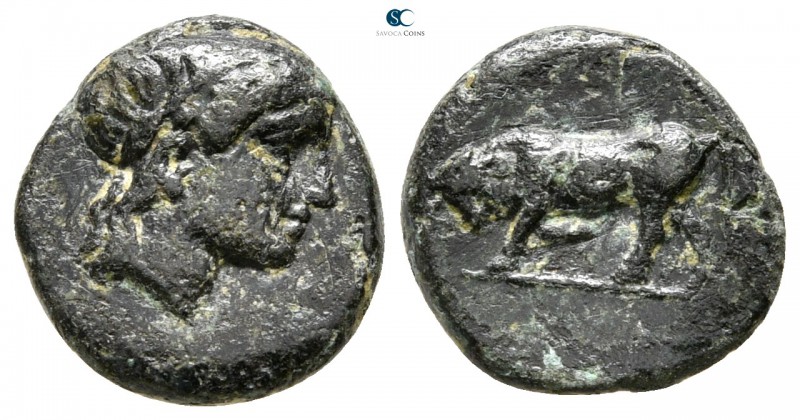 Mysia. Gambrion circa 400-300 BC. 
Bronze Æ

11 mm., 1,05 g.



very fine...