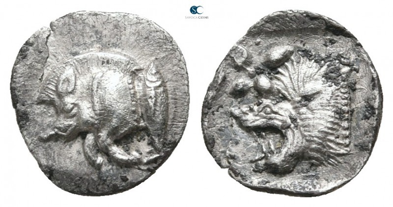 Mysia. Kyzikos 450-400 BC. 
Hemiobol AR

10 mm., 0,39 g.



very fine