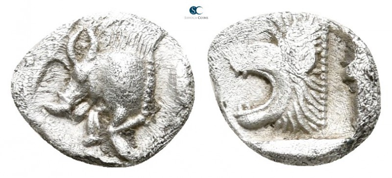 Mysia. Kyzikos circa 450-400 BC. 
Hemiobol AR

9 mm., 0,40 g.



very fin...