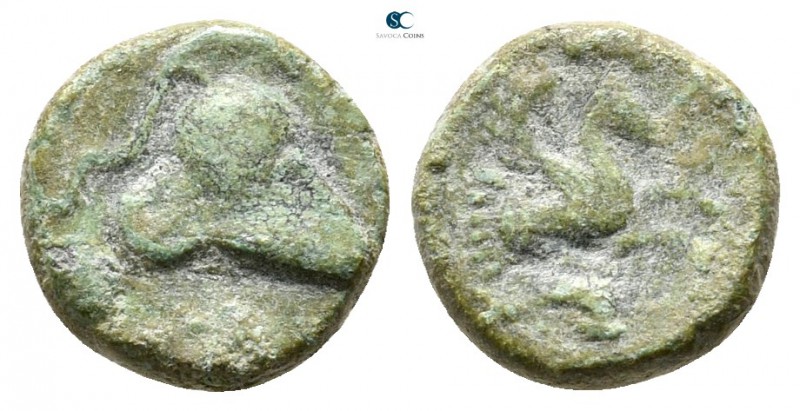 Mysia. Lampsakos circa 400-200 BC. 
Bronze Æ

8 mm., 0,66 g.



nearly ve...