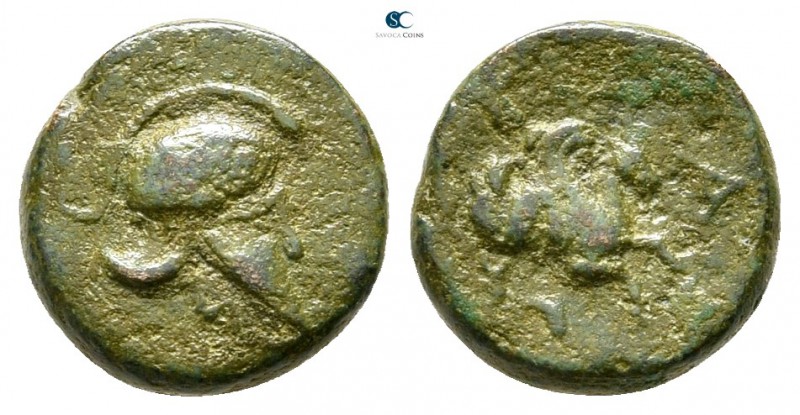 Mysia. Lampsakos 350-250 BC. 
Bronze Æ

10 mm., 1,16 g.



very fine