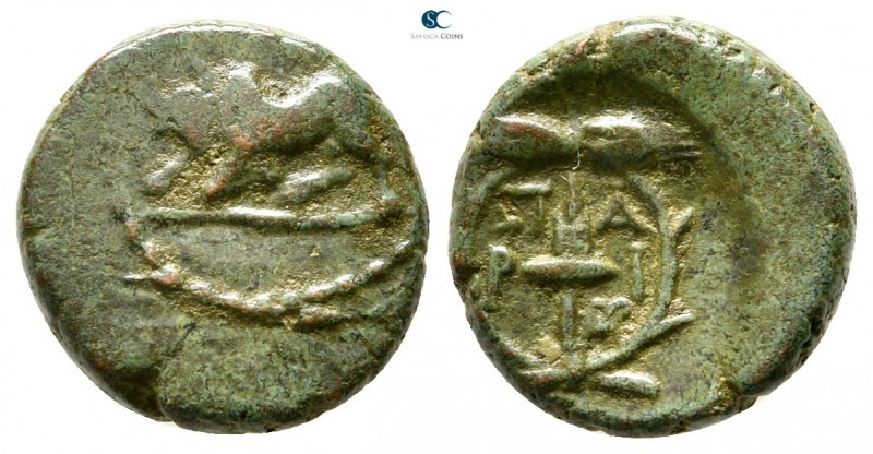 Mysia. Parion circa 350-300 BC. 
Bronze Æ

13 mm., 2,30 g.



very fine