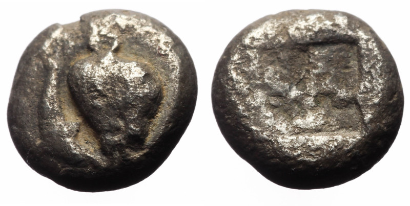 Thessaly (?), VI-V century BC, obol (Silver, 8.5 mm, 0.63 g).
Obv: Head bull lef...