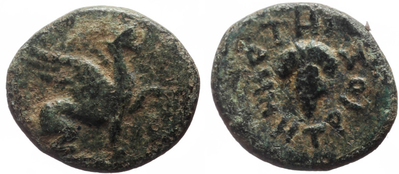 Ionia, Teos, AE (Bronze, 13.0 mm, 1.32 g), struck under Demetrios magistrate, ca...