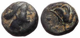 Islands off Caria, Rhodes AE (Bronze, 1.34g, 10mm) ca 400-350 BC
Obv: Diademed head of Rhodos right 
Rev: Rose with bud right. 
Ref: SNG von Aulock 27...