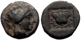 Islands off Caria, Rhodos AE (Bronze, 1.65g, 13mm) ca 188-84 BC. 
Obv: Radiate head of Helios right 
Rev: P-O, rose with bud to left and right, all wi...