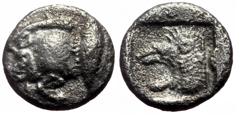 Mysia, Kyzikos AR Diobol (Silver, 1.11g, 10mm) ca 450-400 BC. 
Obv: Forepart of ...