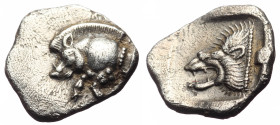 Mysia, Cyzicus, AR obol (Silver, 11.7 mm, 1.03 g), 5th century BC.
Obv. Forepart of boar left, [tunny upward behind]. 
Rev. Head of roaring lion left ...