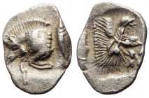 Mysia, Cyzicus, AR hemiobol (Silver, 10.4 mm, 0.41 g), ca 450-400 BC.
Obv. Forepart of boar left, tunny upward behind. 
Rev. Head of roaring lion left...