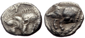 Mysia, Kyzikos AR Obol (Silver, 0.69g, 9mm) ca 450-400 BC. 
Obv: Forepart of boar to left; to right, tunny fish swimming upwards. 
Rev: Head of lion t...