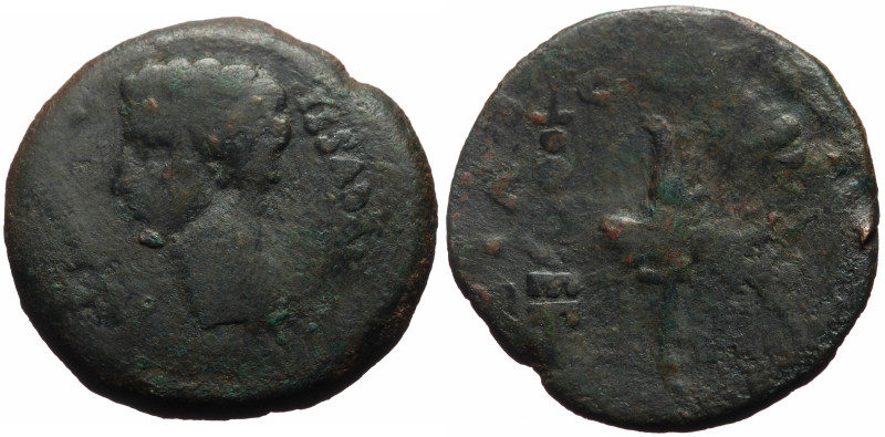 Spain, Corduba AE Spain, AE (Bronze, 18.66g, 32mm) Augustus (27 BC-14 AD) 
Obv: ...