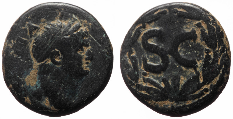 Syria, Antioch AE (Bronze, 7.16g, 20mm) Vespasian for Domitian (Caesar, 69-79) ...