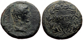 Asia Minor, uncertain mint Augustus (27 BC - 14 AD) AE As (Bronze, 11.20g, 26mm) ca 25 BC. 
Obv: CAESAR, Bare head to right. 
Rev: AVGVSTVS within l...