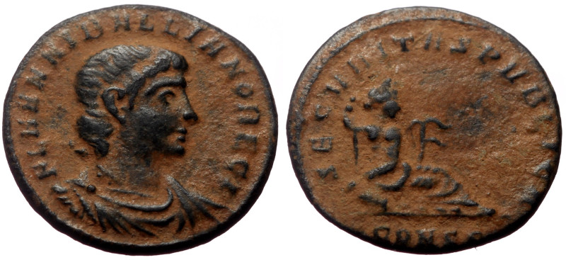 *Rare, not too often seen on the market*
Hannibalianus (335-337) AE Follis (Bro...