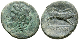 APULIA, Arpi. Ae23. (Ae. 6,74g/23mm). 325-275 a.C. (HN Italy 642; SNG ANS 635/8). Anv: Cabeza laureada de Zeus a izquierda, detrás rayo, delante leyen...