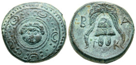 REINADO DE MACEDONIA, Alejandro III el Grande. Ae16. (Ae. 4,31g/17mm). 323-315 a.C. Salamis. (Price 3162). Anv: Escudo macedonio con cabeza de Górogol...