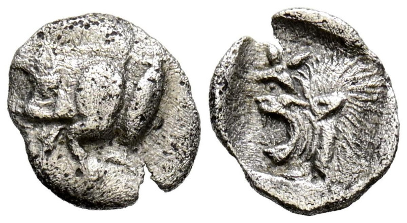 MISIA, Cícico. Hemióbolo. (Ar. 0,35g/9mm). 500-490 a.C. (Klein 265). Anv: Parte ...