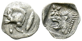 MISIA, Cícico. Obolo. (Ar. 0,23g/9mm). 450-400 a.C. (SNG France 375). Anv: Parte delantera de Jabalí a izquierda, detrás atún. Rev: Cabeza de león a i...