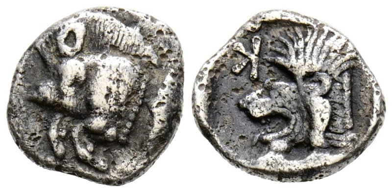 MISIA, Cícico. Óbolo. (Ar. 0,74g/9mm). 550-500 a.C. (SNG France 380). Anv: Parte...