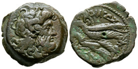 REINO PTOLEMAICO, tiempos de Cleopatra III y Ptolomeo IX hasta Ptolomeo XII. Ae19. (Ae. 6,55g/19mm). 116-51 a.C. Alejandría. (Svoronos 1426; SNG Copen...