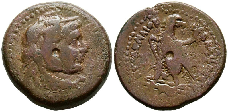 REINO PTOLEMAICO, Ptolomeo III Euergetes. Ae25. (Ae. 8,76g/25mm). 246-222 a.C. (...