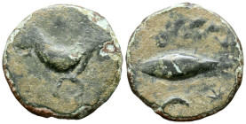 BAILO (Tarifa, Cádiz). Cuadrante. (Ae. 2,66g/17mm). 50 a.C. (FAB-189). Anv: Caballo avanzando a derecha. Rev: Atún a izquierda, encima leyenda: BAILO,...