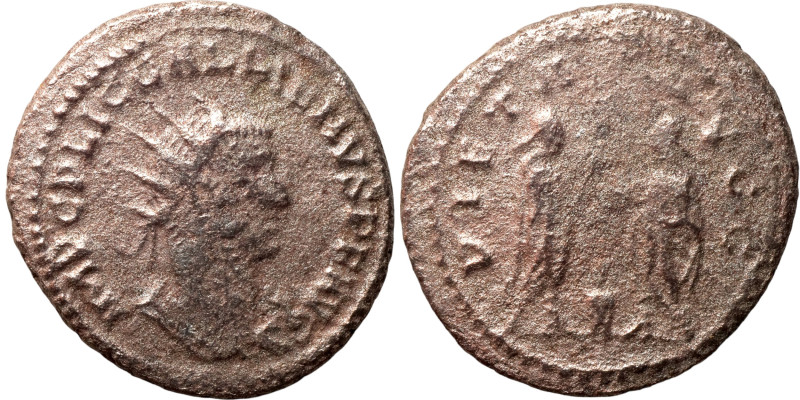 Gallienus Antoninianus 260-268

21mm 3,89g

Artifically sand patina