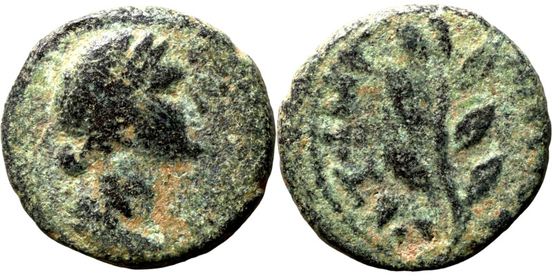 Roman coin

15mm 3,07g

Artifically sand patina