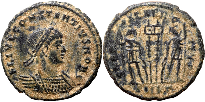 Constantinus Follis 307-337 Constantinus I, PROVIDENTIAE AVGG

17mm 2,19g

A...