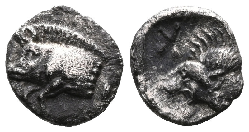 Greek
Mysia, Kyzikos, AR Obol, (Silver), Circa 450-400 BC. Mysia, Kyzikos, AR O...