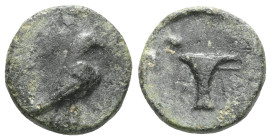 GreekAeolis, Kyme, AE, (Bronze), Circa 350-250 BC, magistrate. Aeolis, Kyme, AE, (Bronze), Circa 350-250 BC, magistrate.Obv: [ΑΝ]ΤΙΚΡΑΤ[ΗΣ], Eagle sta...