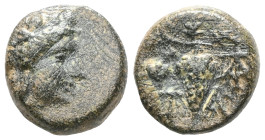 GreekAEOLIS. Temnos. 3rd century BC. AE .Condition: VF.