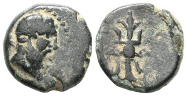 GreekPisidia, Selge, AE (Bronze), 2nd-1st centuries BC. Obv: Head of Heracles to right, club on shoulder. Pisidia, Selge, AE , 2nd-1st centuries BC. O...