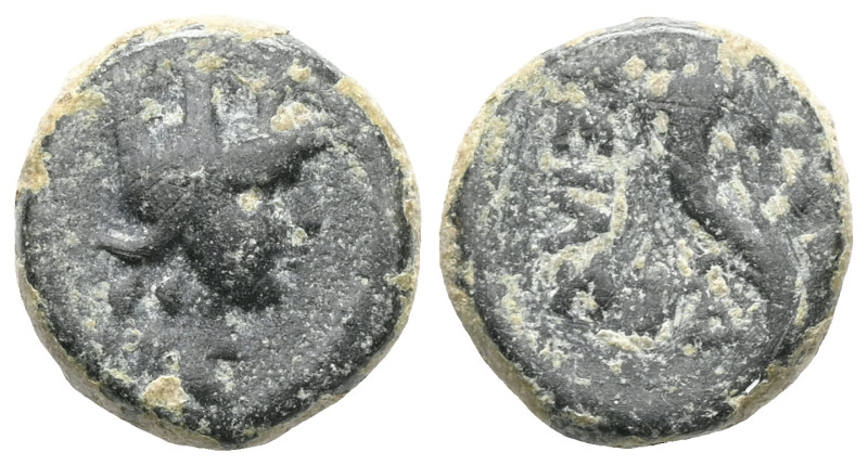 Greek Coins. 4th - 3rd century B.C. AE

Weight:2,1 gr
Diameter:12,2 mm