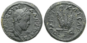 Roman ProvincialCappadocia. Caesarea. Severus Alexander AD 222-235. Dated RY 3=AD 223/4Bronze ÆAY K CЄOVH AΛЄΞANΔ, laureate head of Severus Alexander ...