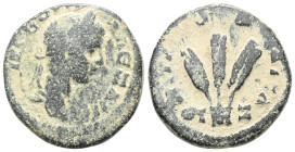Roman ProvincialCappadocia. Caesarea. Severus Alexander AD 222-235.Bronze Æ