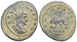 Gallienus. Antoninianus; Gallienus; 253-268 AD ae.