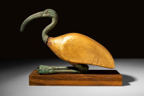 EGYPTIAN GILDED WOOD AND BRONZE IBIS STATUE

 Late Period, Ca. 664 - 332 BC A stunning Egyptian ibis depicted seated with a sinuous neck and long bi...