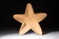 BACTRIAN STONE OIL LAMP

 Ca. 2200 - 1500 BC A rare Bactrian stone oil lamp with a five-pointed star shape and a central circular oil reservoir. Thi...
