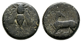 greek coins AE Bronze 2,1 g. 13 mm.