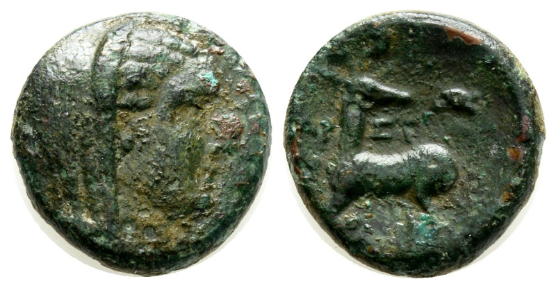 greek coins AE Bronze 4,2 g. 16,5 mm.